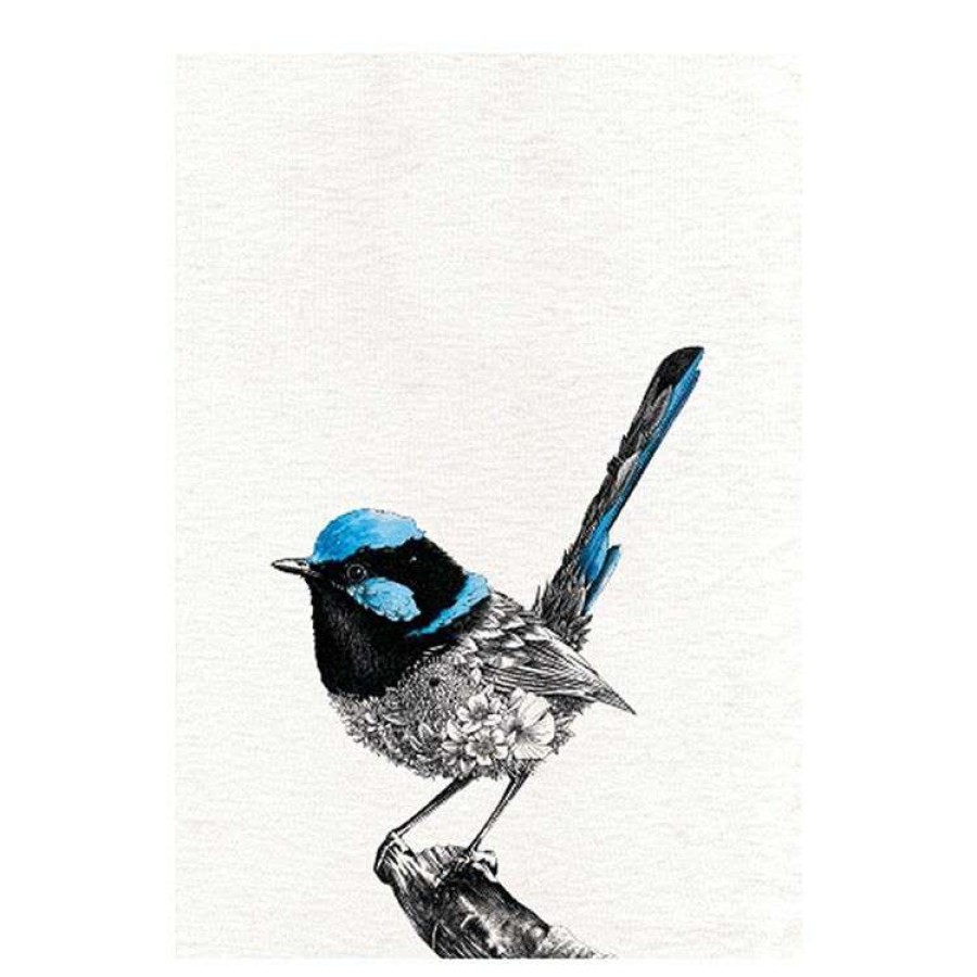 Kitchen & Dining * | Maxwell & Williams Marini Ferlazzo 50 X 70 Cm Tea Towel Superb Fairy-Wren