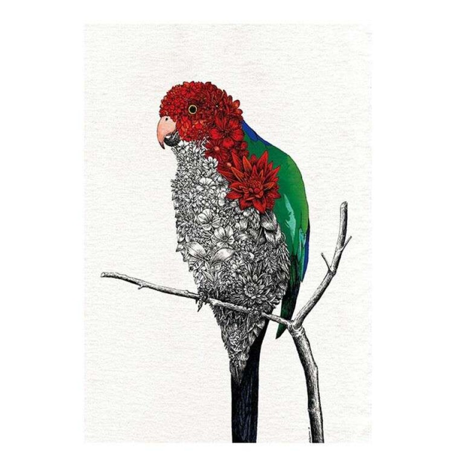 Kitchen & Dining * | Maxwell & Williams Marini Ferlazzo 50 X 70 Cm Tea Towel Parrot