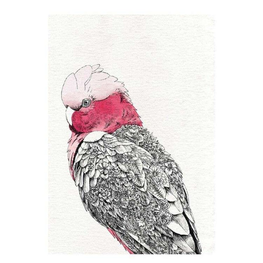 Kitchen & Dining * | Maxwell & Williams Marini Ferlazzo 50 X 70 Cm Tea Towel Galah