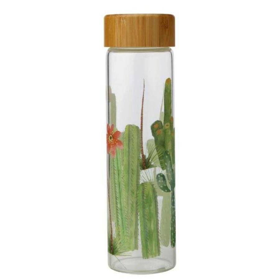 Kitchen & Dining * | Maxwell & Williams Royal Botanic Gardens Arid Garden Glass Water Bottle 550Ml Saguaro